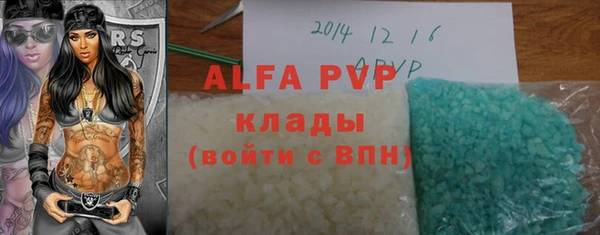 индика Верея