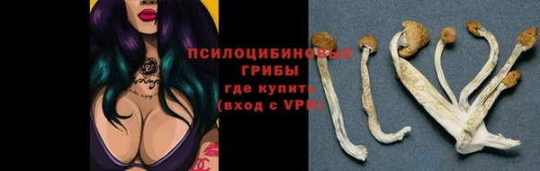MESCALINE Белокуриха