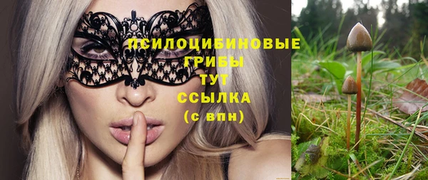 бошки Богданович
